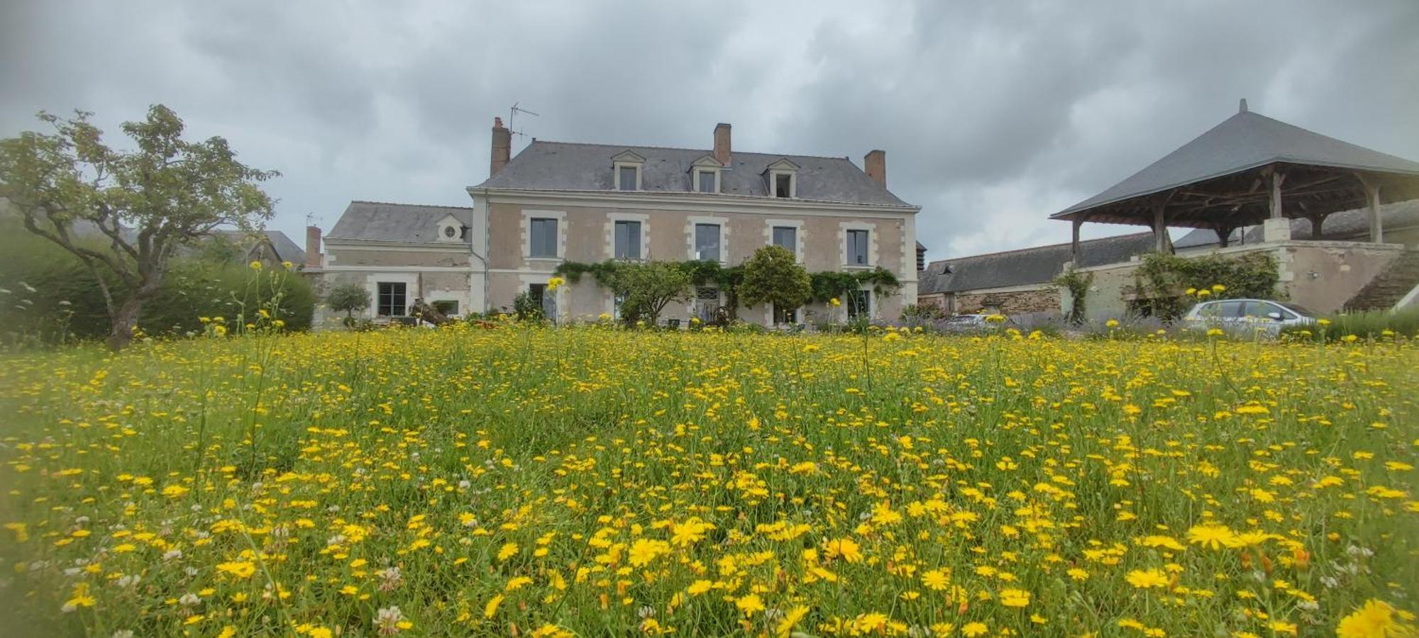 La Demeure De L'Aubance Bed & Breakfast Saint-Melaine-sur-Aubance Exterior photo